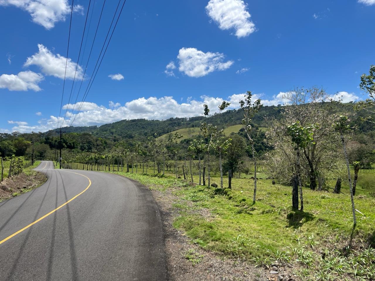 Finca Los Guayabos