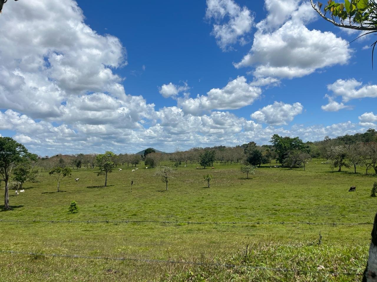 Finca Los Guayabos