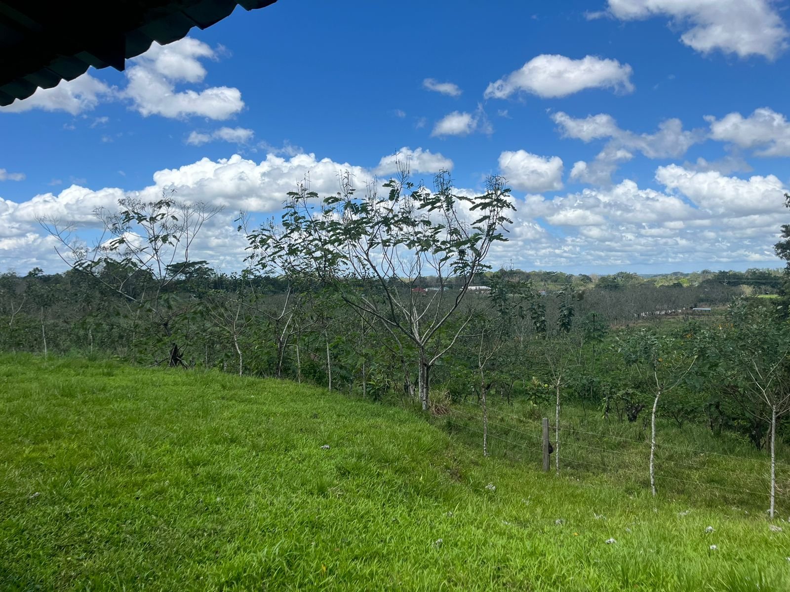 Vistas del Valle