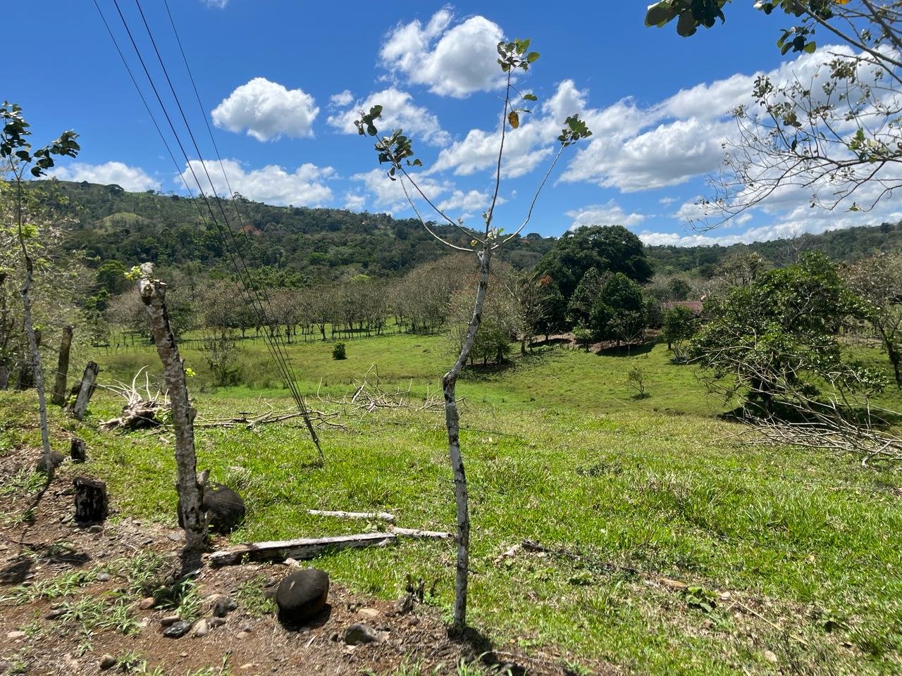 Vistas del Valle
